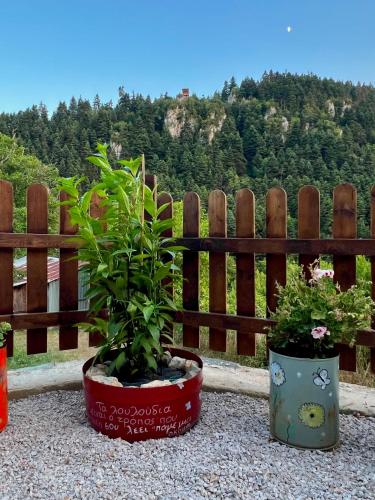 two potted plants sitting in front of a fence at RVilla in Pavliani