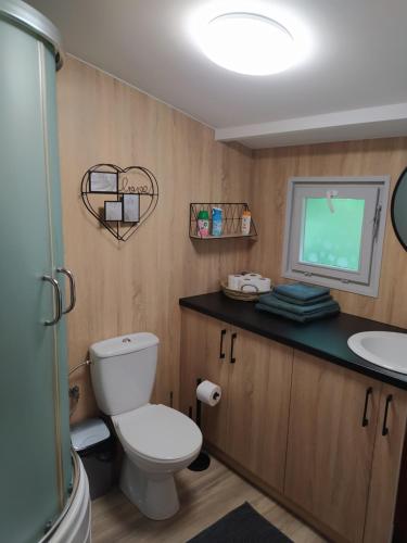 a bathroom with a toilet and a sink at Sosnowy Domek in Wólka