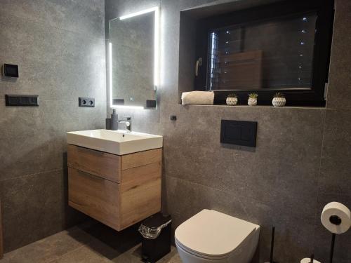 a bathroom with a toilet and a sink and a mirror at Chalet Johannes in Liptovský Ján
