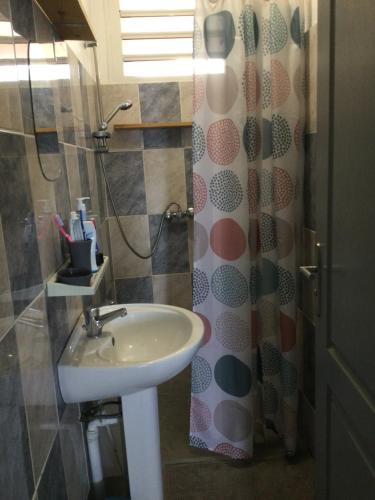 a bathroom with a sink and a shower curtain at Villa Hibiscus in Bouillante