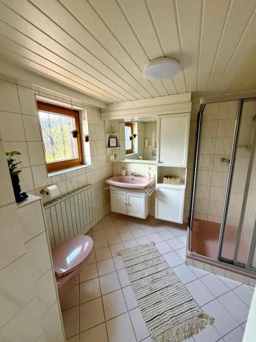 a bathroom with a toilet and a sink and a shower at Ferienwohnung Lauterach in Lauterach