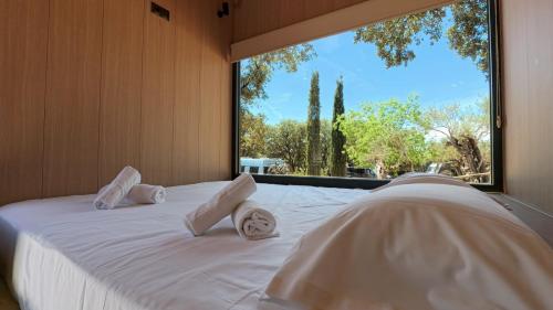 a bedroom with a bed with a large window at Camping Alquézar in Alquézar