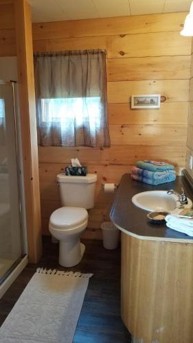 a bathroom with a toilet and a sink at Bob's Cabin at Wishart's Point Lodge in Neguac