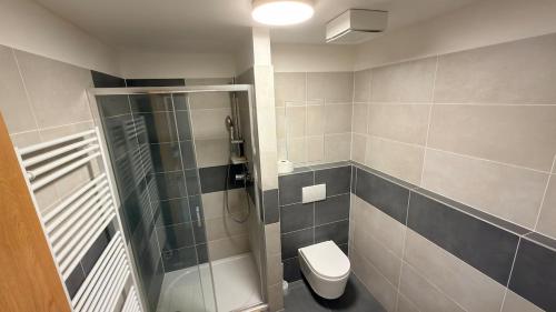 a bathroom with a toilet and a glass shower at Moderní apartmán Boskovice in Boskovice