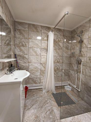 a bathroom with a shower and a sink at Cabana Tonea in Avrig