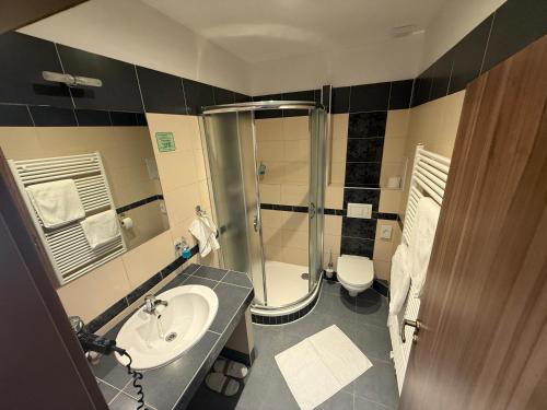 a bathroom with a shower and a sink and a toilet at U Císaře Rudolfa in Mělník