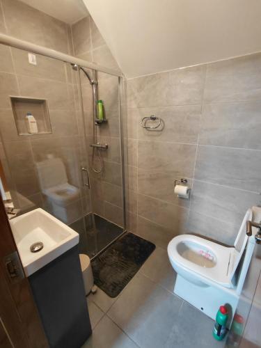a bathroom with a shower and a toilet and a sink at Golf Style in Lisdoonvarna