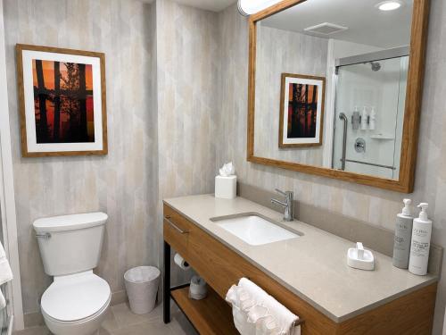 a bathroom with a toilet and a sink with a mirror at Hampton Inn Cartersville in Cartersville