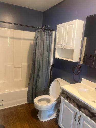 a bathroom with a toilet and a shower and a sink at Ma Campagne in Lexington