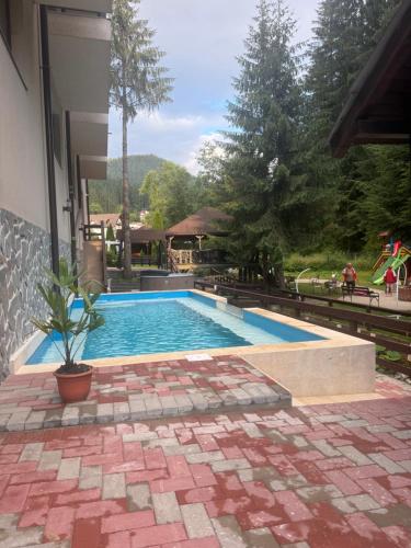 a swimming pool with a potted plant next to a house at Pensiunea Floarea Munților in Moieciu de Sus