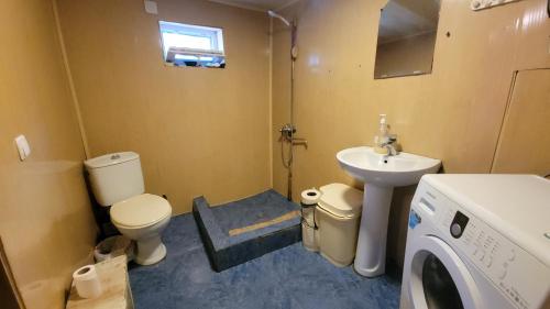 a bathroom with a toilet sink and a washing machine at Guest House DEDA TINA in Mestia