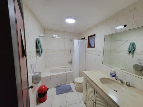 a bathroom with a sink and a toilet and a shower at Rainbow Hostel in Lima