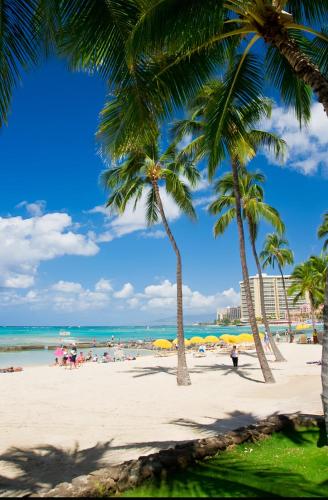 a beach with palm trees and people on it at Sweet Blue Hawaii in Honolulu