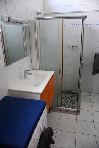 a bathroom with a shower and a sink at VILLA CREOLE in Gourbeyre