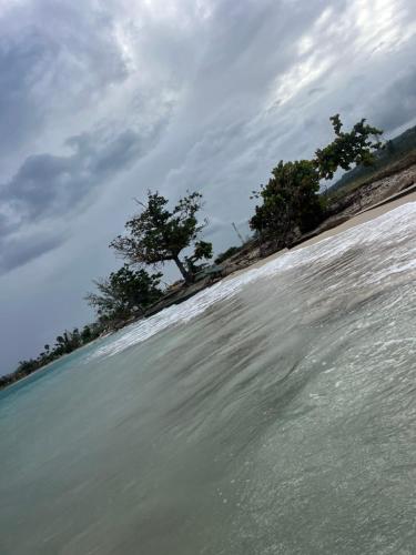 two trees on an island in the water at Serenity Escape, Cozy Stay w Secure Parking in Runaway Bay