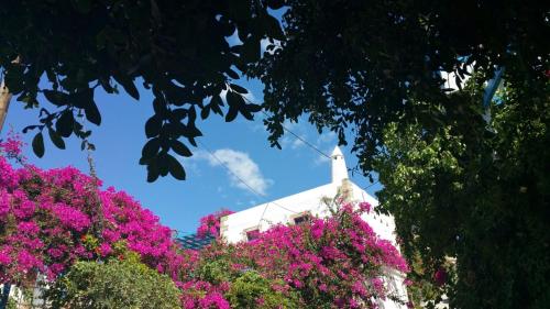a white church with pink flowers in front of it at Xenonas in Kamilari