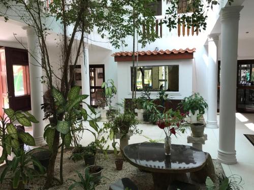 Un jardín fuera de Palm Beach Villa