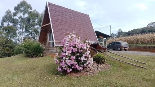 a bush of flowers in front of a house at CascataDiamantePousada in Laurentino