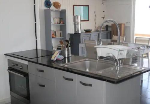 a kitchen with a sink and a counter top at Case du pêcheur in Grand-Bourg