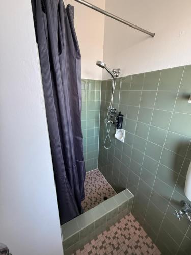 a shower with a blue shower curtain in a bathroom at Manning River Motel in Taree