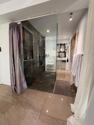 a bathroom with a shower and a glass shower stall at FIG PARADIS the villa in Philipsburg