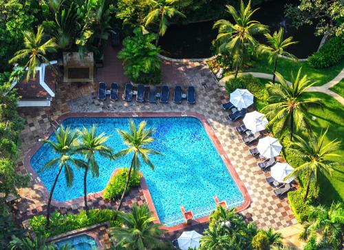 an overhead view of a swimming pool with chairs and palm trees at Centara Grand at Central Plaza Ladprao Bangkok in Bangkok