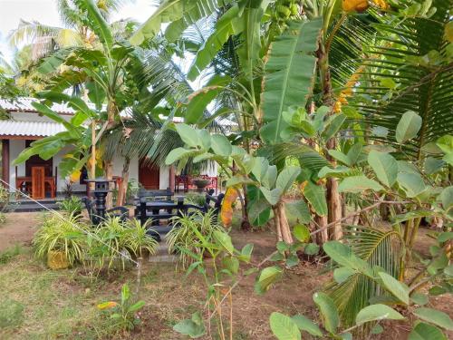 a house in the middle of a banana plantation at Wilpattu Coconut Villa in Nochchiyagama