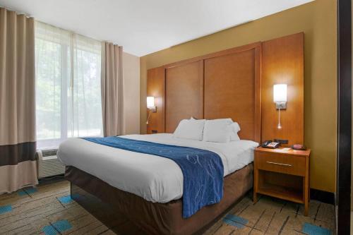 a large bed in a hotel room with a large window at Comfort Suites near MCAS Beaufort in Beaufort