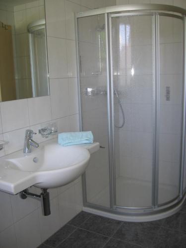 a bathroom with a shower and a sink at Haus Vilgrassa in Sankt Gallenkirch