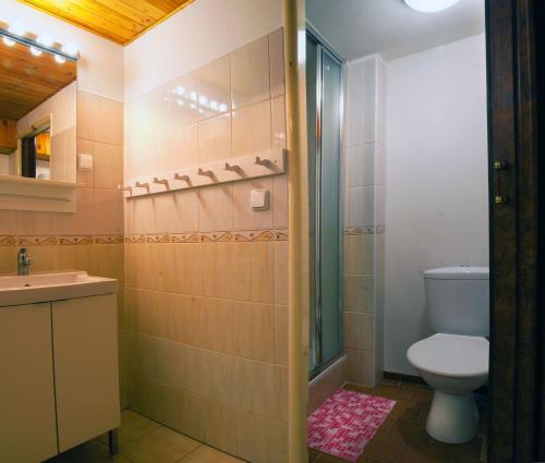 y baño con aseo, lavabo y ducha. en Lovecký hotel Jívák, en Loučeň