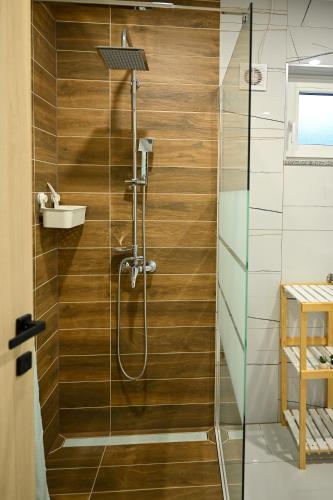 a bathroom with a shower with a wooden wall at Vila Atlantida in Velika
