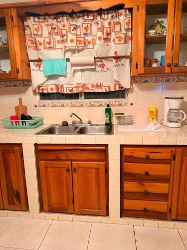 a kitchen with a sink and a counter top at Comfortable 3-bedroom, 1-kitchen cottage in Cerro Punta