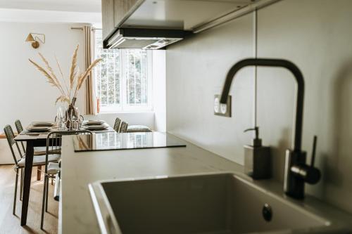 a kitchen with a sink and a table with chairs at La Parenthèse Maisonneuve in Troyes