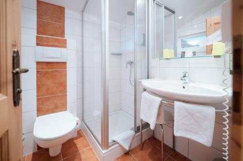 a bathroom with a shower and a sink and a toilet at Schi- und Wanderhotel Berghof in Bad Kleinkirchheim