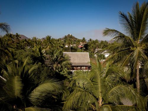 a group of palm trees in front of a house at Maison Dalabua in Luang Prabang