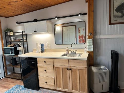 a bathroom with a sink and a mirror at Aloha Junction Bed and Breakfast -Minutes away from Hawaii Volcanoes National Park in Volcano