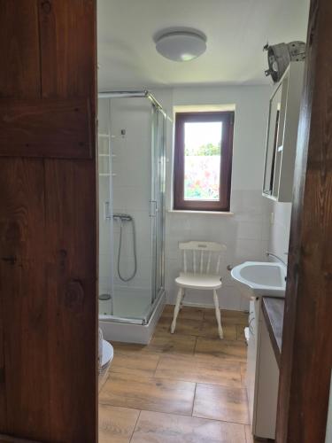 a bathroom with a shower and a toilet and a sink at Chatki u Patki in Łebieniec