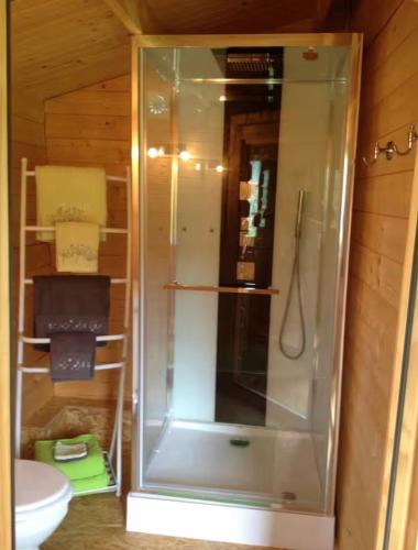 a glass shower in a bathroom with a toilet at Chalet 1 in Aouste-sur-Sye