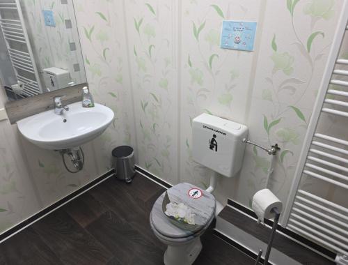 a bathroom with a toilet and a sink at EG Ferien- und Monteurwohnung mit AC in Osterburg Siedlung