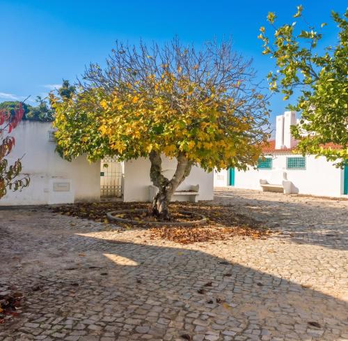 Bright family house in Alvor with stunning sea view