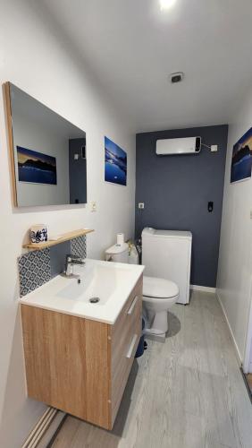 a bathroom with a sink and a toilet at Appartement indépendant dans maison au calme in Pugny-Chatenod