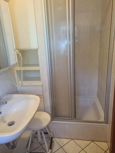a bathroom with a shower and a sink and a tub at Haus Goldregen - App. 223 in Thalfang