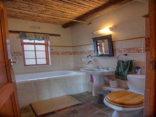 a bathroom with a toilet and a tub and a sink at Rietfontein Guest Farm in Ladismith