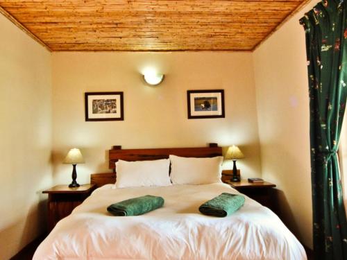 a bedroom with a bed with two green pillows on it at Rietfontein Guest Farm in Ladismith