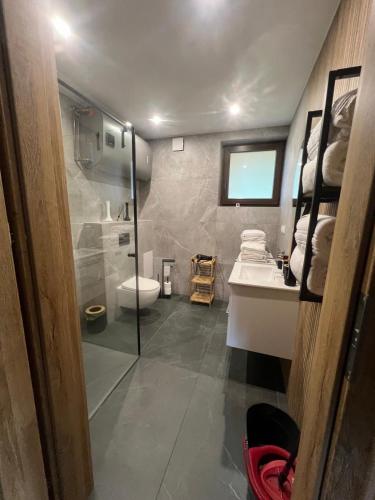 a bathroom with a shower and a toilet and a sink at Relax Chańcza in Pągowiec