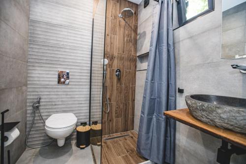 a bathroom with a toilet and a sink and a shower at Complex Perpera in Stambolovo