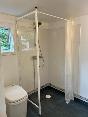 a bathroom with a shower with a toilet and a shower curtain at 'Ekhaga Cabins' Lillestugan in Viddviken