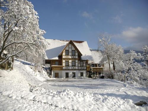 a house is covered in snow at Bäuerlehof in Seebach