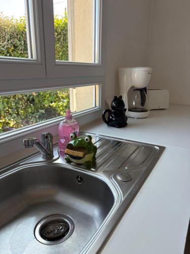 a kitchen sink with a green frog sitting on top of it at La Parenthèse Immo in Amilly