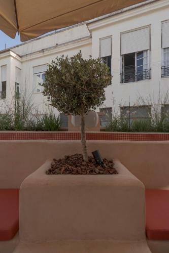 SLEEP'N Valencia photo 72
